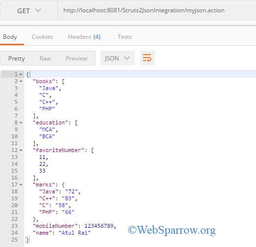 Struts 2 and JSON Integration Example