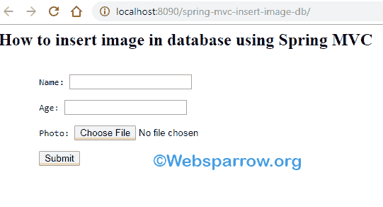 How to insert image in database using Spring MVC