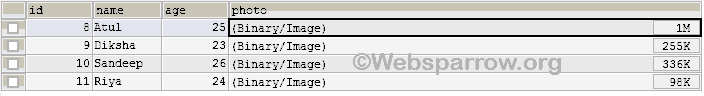 How to insert image in database using Spring MVC