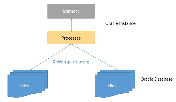 Overview and Architecture of Oracle Database Server