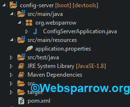 Microservices Project Structure of Config Server