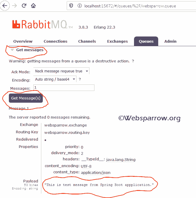 Spring Boot + RabbitMQ Server Console Message Payload