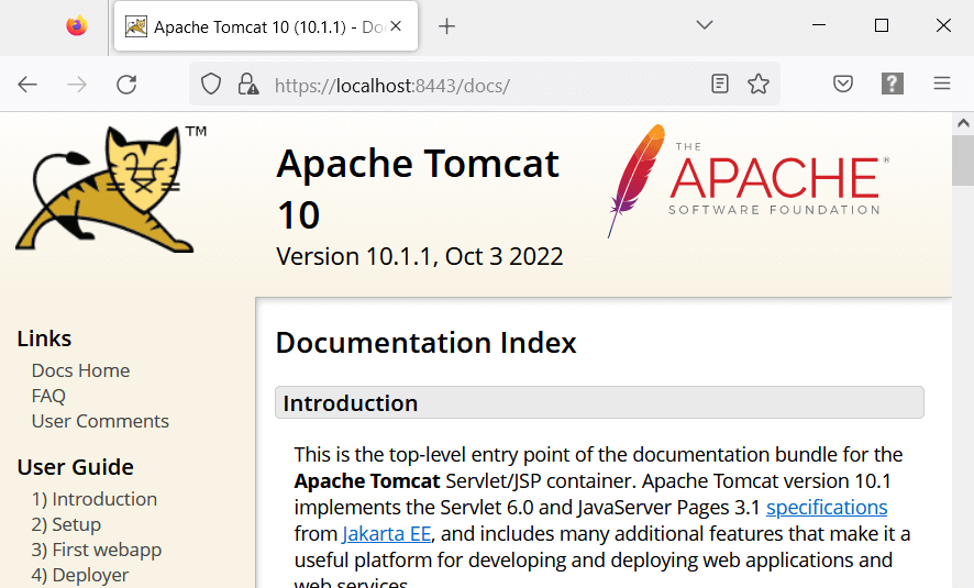 A Step-By-Step Guide to Apache Tomcat with SSL Configuration